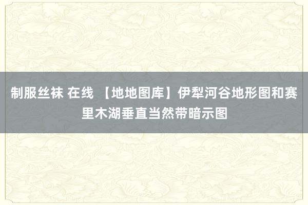 制服丝袜 在线 【地地图库】伊犁河谷地形图和赛里木湖垂直当然带暗示图