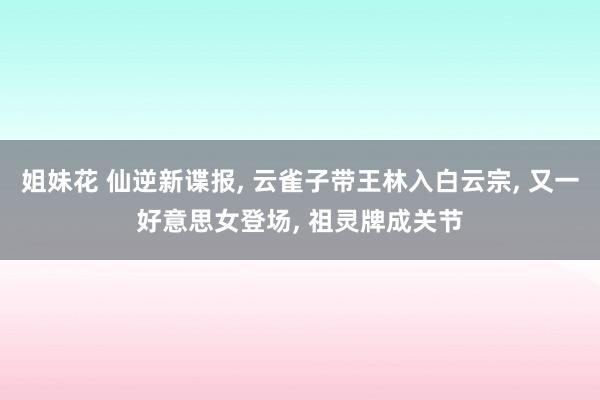 姐妹花 仙逆新谍报， 云雀子带王林入白云宗， 又一好意思女登场， 祖灵牌成关节