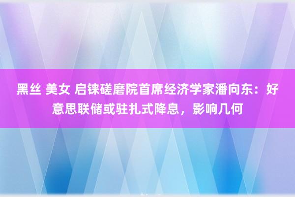 黑丝 美女 启铼磋磨院首席经济学家潘向东：好意思联储或驻扎式