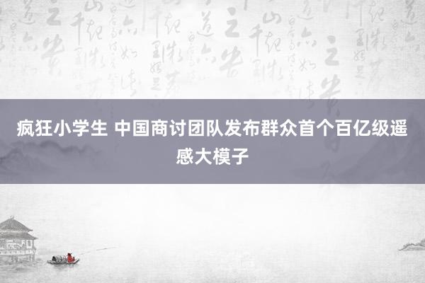 疯狂小学生 中国商讨团队发布群众首个百亿级遥感大模子