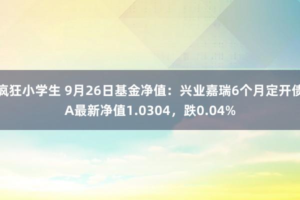 疯狂小学生 9月26日基金净值：兴业嘉瑞6个月定开债A最新净值1.0304，跌0.04%