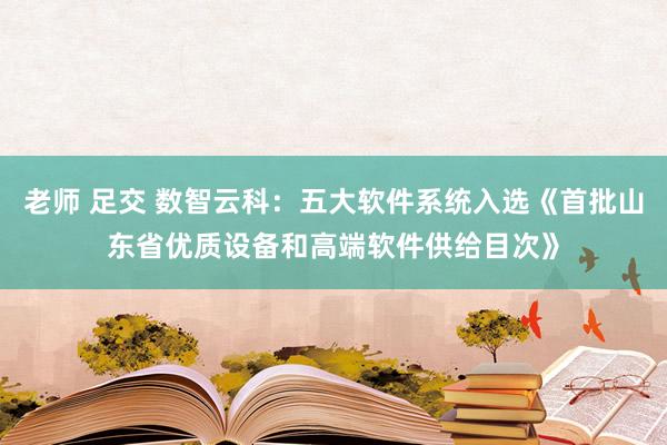 老师 足交 数智云科：五大软件系统入选《首批山东省优质设备和高端软件供给目次》