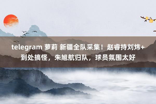 telegram 萝莉 新疆全队采集！赵睿持刘炜+到处搞怪，朱旭航归队，球员氛围太好