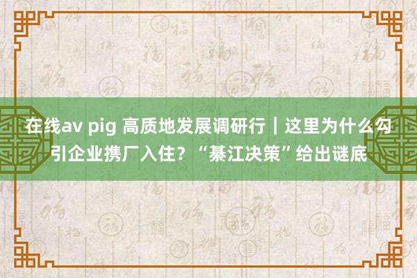 在线av pig 高质地发展调研行｜这里为什么勾引企业携厂入住？“綦江决策”给出谜底