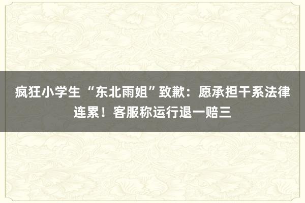 疯狂小学生 “东北雨姐”致歉：愿承担干系法律连累！客服称运行退一赔三