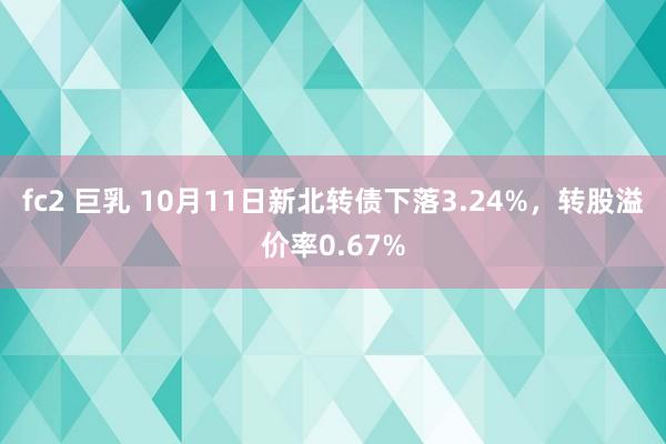 fc2 巨乳 10月11日新北转债下落3.24%，转股溢价率0.67%