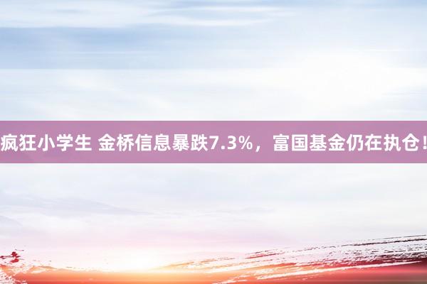 疯狂小学生 金桥信息暴跌7.3%，富国基金仍在执仓！