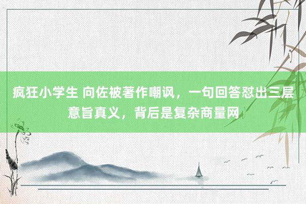 疯狂小学生 向佐被著作嘲讽，一句回答怼出三层意旨真义，背后是复杂商量网