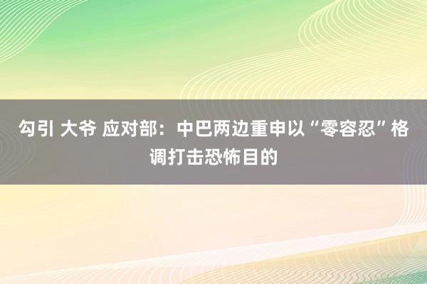 勾引 大爷 应对部：中巴两边重申以“零容忍”格调打击恐怖目的