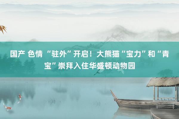 国产 色情 “驻外”开启！大熊猫“宝力”和“青宝”崇拜入住华盛顿动物园