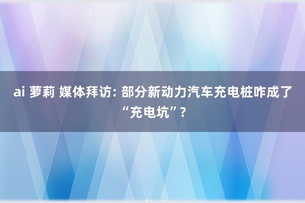 ai 萝莉 媒体拜访: 部分新动力汽车充电桩咋成了“充电坑”?