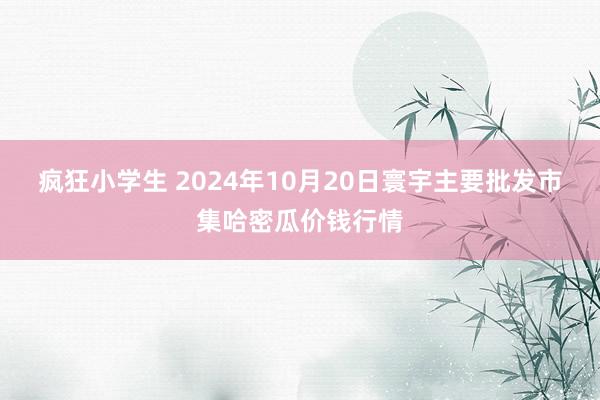 疯狂小学生 2024年10月20日寰宇主要批发市集哈密瓜价钱行情