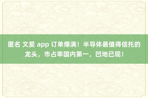 匿名 文爱 app 订单爆满！半导体最值得信托的龙头，市占率国内第一，凹地已现！