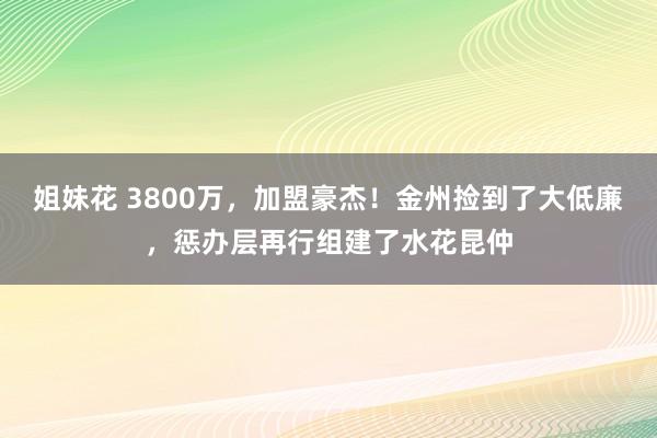 姐妹花 3800万，加盟豪杰！金州捡到了大低廉，惩办层再行组建了水花昆仲