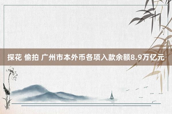 探花 偷拍 广州市本外币各项入款余额8.9万亿元