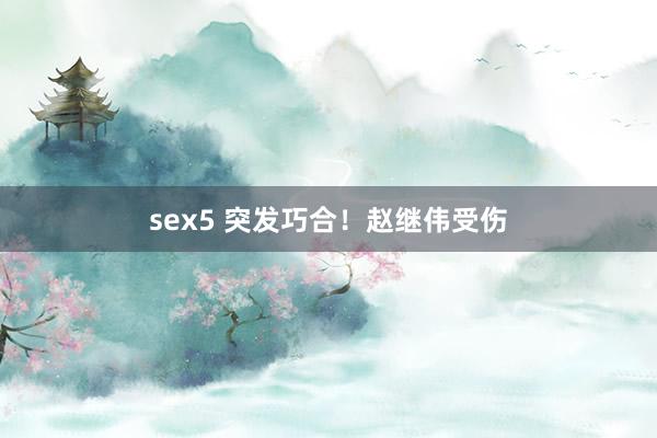 sex5 突发巧合！赵继伟受伤