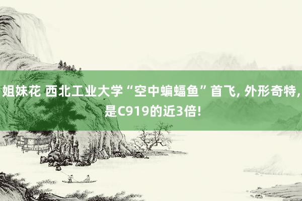 姐妹花 西北工业大学“空中蝙蝠鱼”首飞， 外形奇特， 是C919的近3倍!