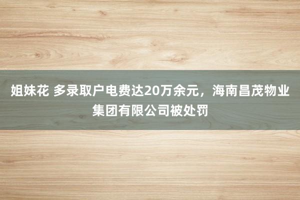 姐妹花 多录取户电费达20万余元，海南昌茂物业集团有限公司被处罚