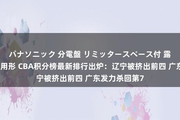 パナソニック 分電盤 リミッタースペース付 露出・半埋込両用形 CBA积分榜最新排行出炉：辽宁被挤出前四 广东发力杀回第7