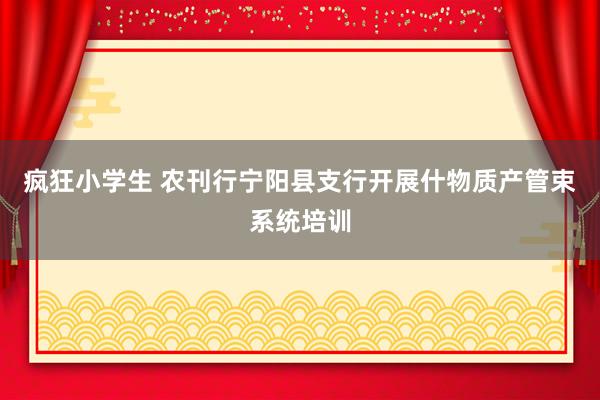 疯狂小学生 农刊行宁阳县支行开展什物质产管束系统培训