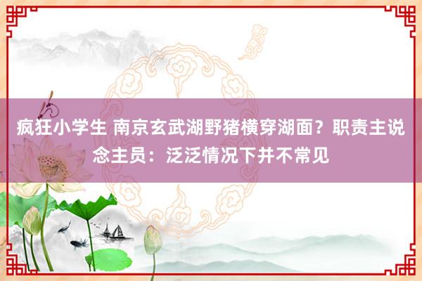 疯狂小学生 南京玄武湖野猪横穿湖面？职责主说念主员：泛泛情况下并不常见