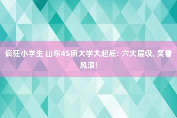 疯狂小学生 山东45所大学大起底: 六大层级， 笑看风浪!