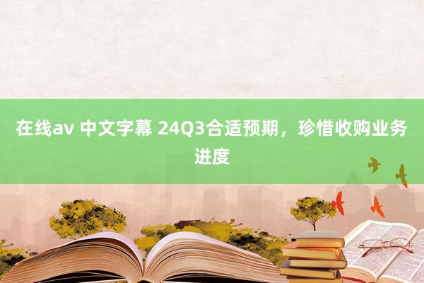 在线av 中文字幕 24Q3合适预期，珍惜收购业务进度