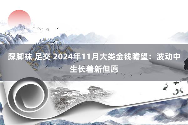 踩脚袜 足交 2024年11月大类金钱瞻望：波动中生长着新但愿