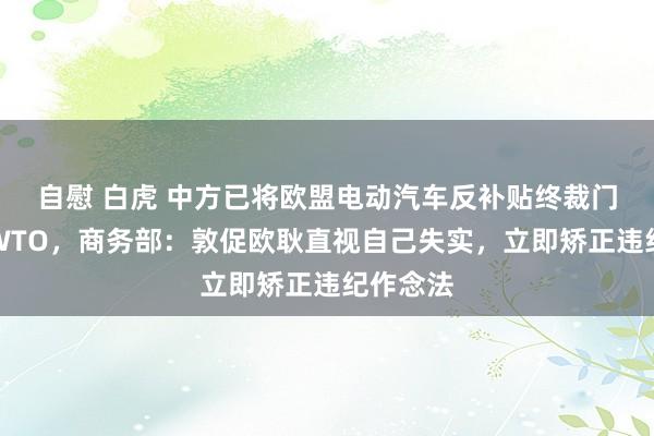 自慰 白虎 中方已将欧盟电动汽车反补贴终裁门径诉至WTO，商务部：敦促欧耿直视自己失实，立即矫正违纪作念法