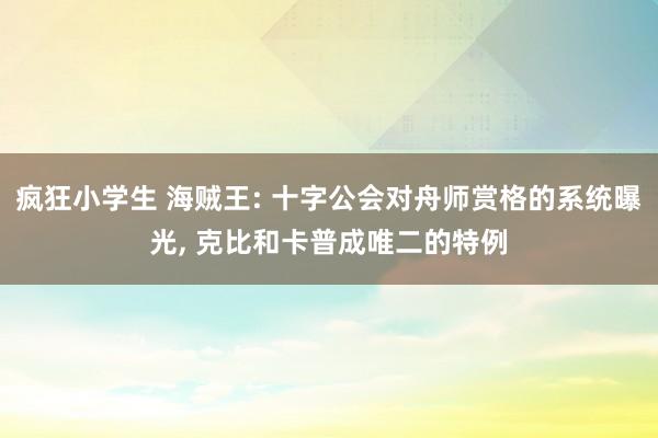 疯狂小学生 海贼王: 十字公会对舟师赏格的系统曝光， 克比和卡普成唯二的特例