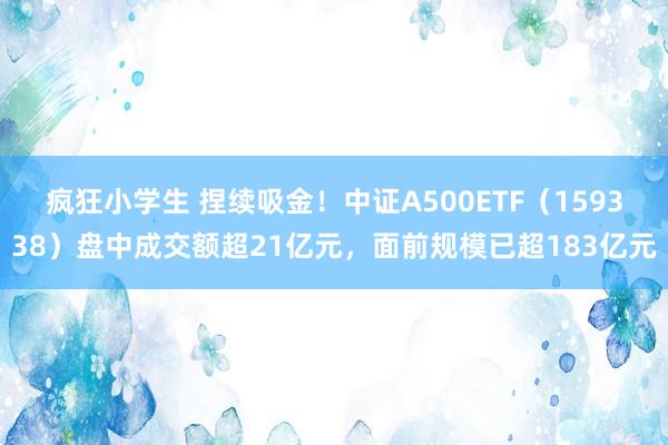 疯狂小学生 捏续吸金！中证A500ETF（159338）盘中成交额超21亿元，面前规模已超183亿元