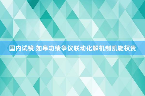 国内试镜 如皋功绩争议联动化解机制凯旋权贵