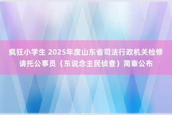 疯狂小学生 2025年度山东省司法行政机关检修请托公事员（东说念主民侦查）简章公布