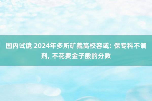 国内试镜 2024年多所矿藏高校容或: 保专科不调剂， 不花费金子般的分数