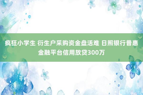 疯狂小学生 衍生户采购资金盘活难 日照银行普惠金融平台信用放贷300万