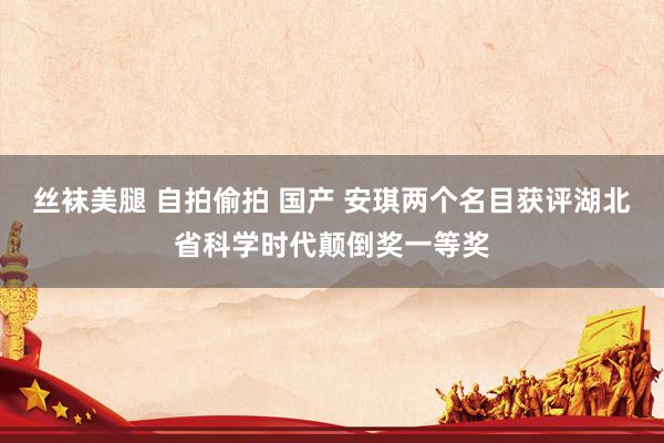 丝袜美腿 自拍偷拍 国产 安琪两个名目获评湖北省科学时代颠倒奖一等奖