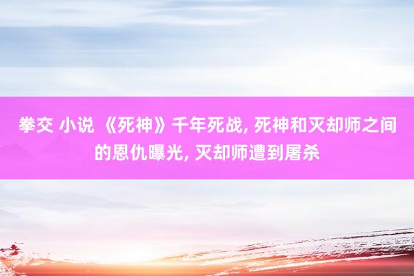 拳交 小说 《死神》千年死战， 死神和灭却师之间的恩仇曝光， 灭却师遭到屠杀