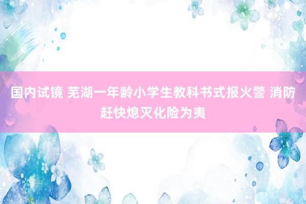 国内试镜 芜湖一年龄小学生教科书式报火警 消防赶快熄灭化险为夷