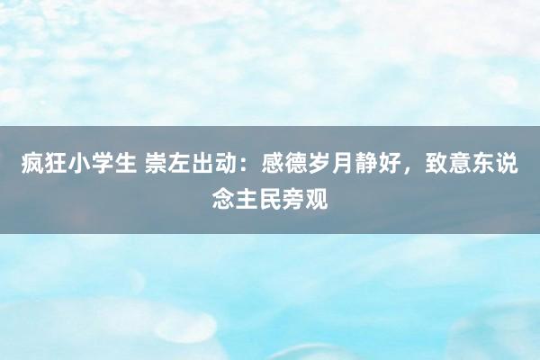 疯狂小学生 崇左出动：感德岁月静好，致意东说念主民旁观