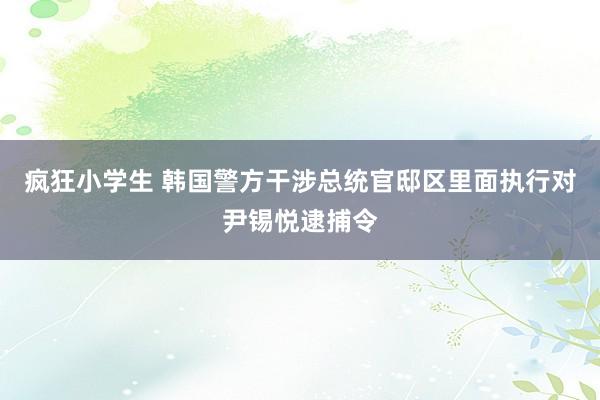 疯狂小学生 韩国警方干涉总统官邸区里面执行对尹锡悦逮捕令