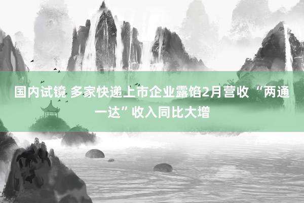 国内试镜 多家快递上市企业露馅2月营收 “两通一达”收入同比