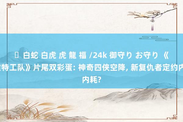 ✨白蛇 白虎 虎 龍 福 /24k 御守り お守り 《雷霆特